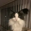 mickeyroberts62 - @mickeyroberts62 - TikTok