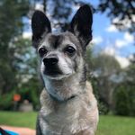 Mickey Ferguson Robertson - @goldengirl1972 - Instagram