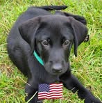 Mickey Robinson - Facebook