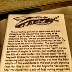 Mickey Robinson - @turkeyhunter316 - Instagram