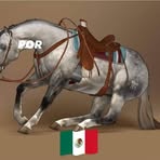 Mickey Sanchez - Facebook