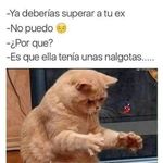 Mickey Serrano Guzman - @mickeyserranoguzman - Instagram
