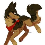 _mickey_the_shepard - @mickey_the_shepard - Instagram