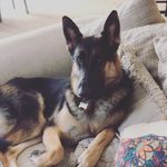 Mickey Snider - @mickeysnide - Instagram