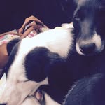 Mickey Spence - @mickeyspence - Instagram