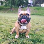 Mike Spring - @mike.spring.92 - Instagram