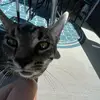 Mickey - @mickey.stanley - TikTok
