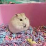 Mickey_starrr - @mickey_sleep_1 - Instagram
