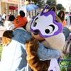 Mickey on Mainstreet - @mickey.mainstreet - TikTok