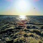 mike suggs - @suggs245 - Instagram
