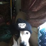 Mike Suggs - @mike.suggs.526 - Instagram