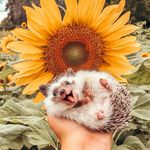 Mickey Swift - @mickey.swift.3 - Instagram