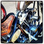Mike Tanner - @tannermike313 - Instagram