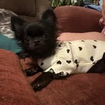 Mickey Jo Tucker Corbin - @mouseyjo - Instagram