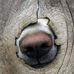 Mickey Turner - Facebook