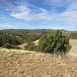 Mickey Vance - @mickeyv95 - Instagram