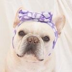 Mickey Walker - @mickeywalker_nyc - Instagram