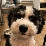 Mickey Wallace Pirra - @mickeywallacepirra - Instagram