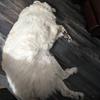 Mickey West - @mickey.west - TikTok
