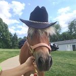 Mike Wheatley - @mike.wheatley.969 - Instagram