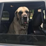 Mickey Wright - @wright_mickey - Instagram