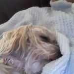 Micki Talbott Rogers - @talbottrogers - Instagram