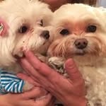 Mickie Davis - @mdavis557 - Instagram