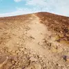 mickyjohnson - @jejejltyh9t - TikTok