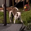 micky_robinson - @micky_robinson - TikTok