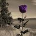 Micky Smith - Facebook