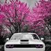 Micky Smith - Facebook