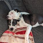 Micky Thompson - @micky241139 - Instagram