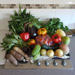 Micky Wilson - @doown_2_earth_nutrition - Instagram