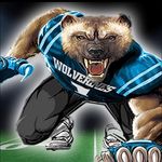 Woodland Hills Midget Football - @woodlandhillsmidgetfootball1 - Instagram