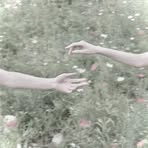 Midori Mori - Facebook