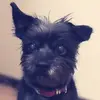 midori_mori - @midori_mori - TikTok
