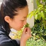 森上翠里 - @midori_morikami - Instagram