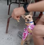 Migda Hernandez - Facebook