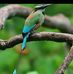 Migdalia Silva - Facebook