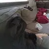 Miguel Aispuro - @miguel.aispuro6 - TikTok