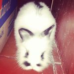 miguel - @miguel_almeda_ - Instagram
