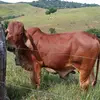 Miguel Arcila - @miguelarcila455 - TikTok