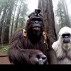miguelangelbaer - @miguelangelbaer - TikTok