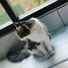 Miguel Becerril - @miguel.becerril14 - TikTok