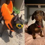 Blake and Miguel - @_blake_and_miguel_ - Instagram