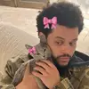 miguelxblake - @miguelxblake - TikTok