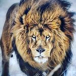 Miguel Borbón - @mabhem - Instagram