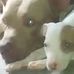 Miguel Call - Facebook