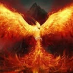 Miguel Calvillo - @calvillo628 - Instagram