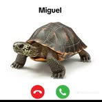 Miguel Casco - Facebook